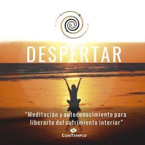 Despertar 1